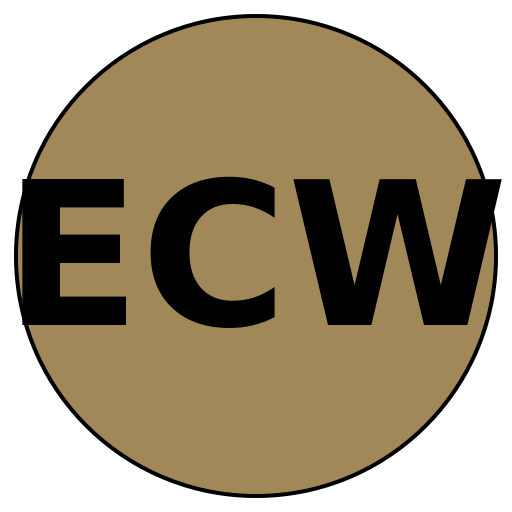 Elegance & Co. Weddings
